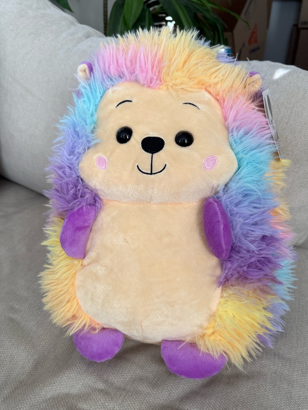 Rainbow Plush Hedgehog Stuffed Animal - Soft Multicolor Toy